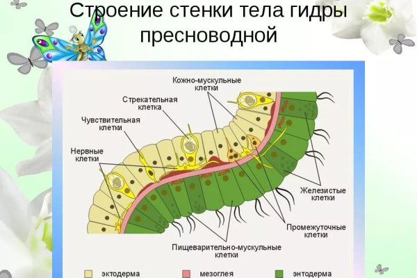 Не входит в кракен пользователь не найден