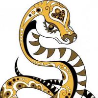 Год Змеи: характеристика мужчины и женщины, рожденных в год Змеи Год змеи значение